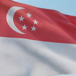 Singaporeanflag2